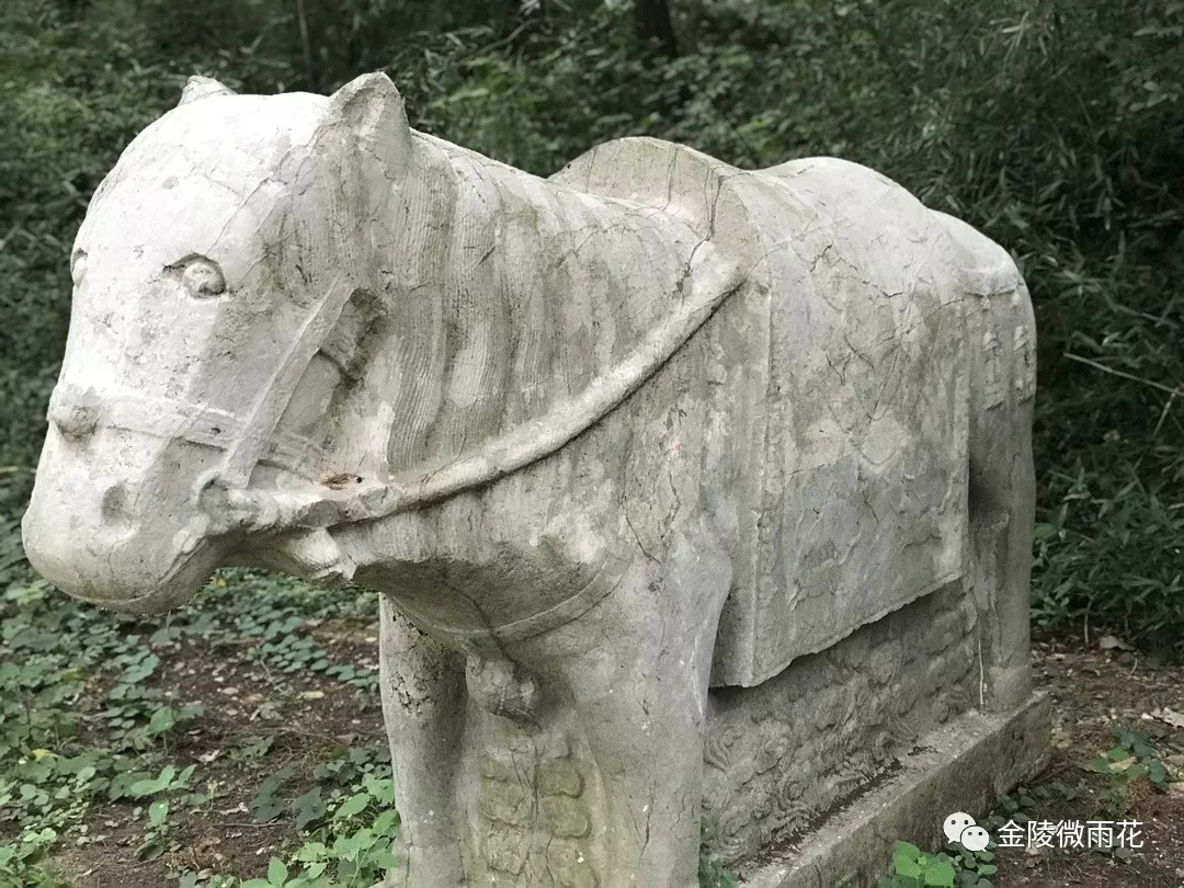 21作为南京地区唯一一座外国国王陵墓,浡泥国王墓规模宏大,由神道石刻