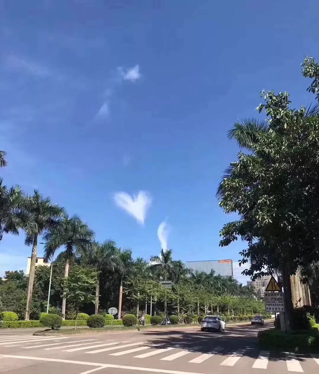 一朵雲都是愛你的形狀今天這朵雲刷爆欽州人的朋友圈