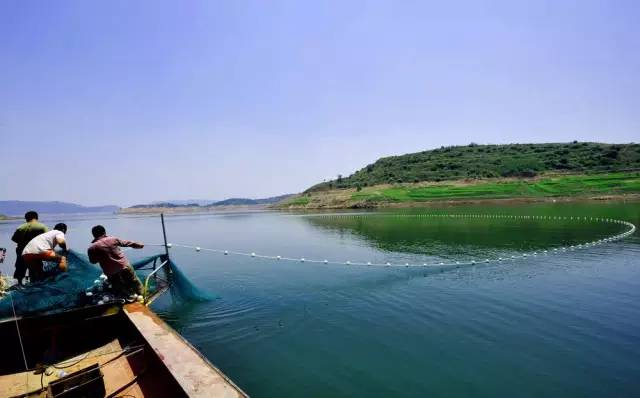 小浪底黄鹿山钓鱼图片