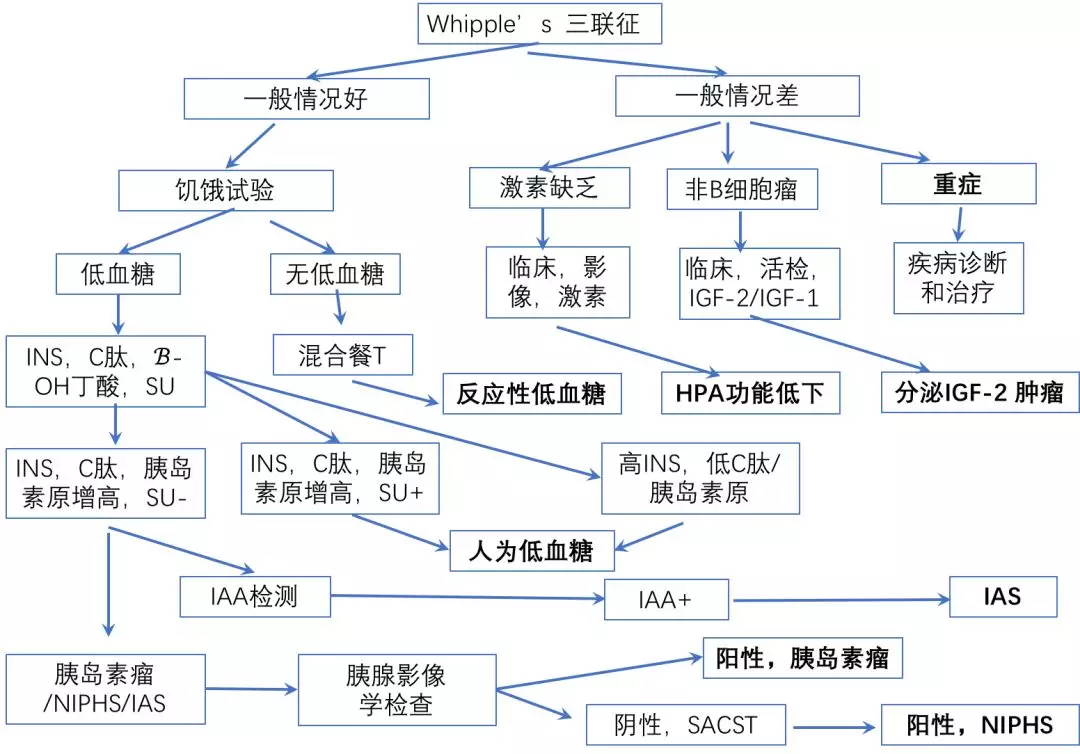 胰島素自身免疫性低血糖診斷鑑別診斷和治療進展