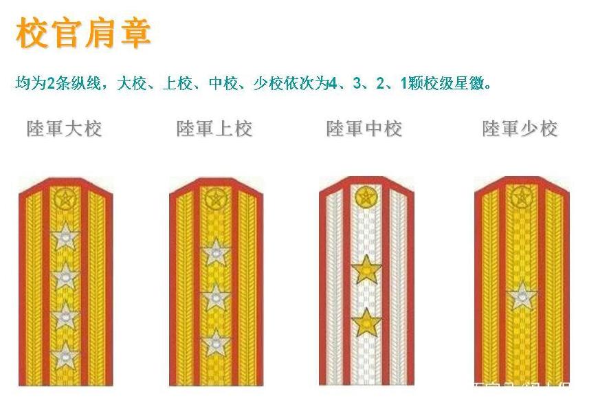 一穗一花军衔图片