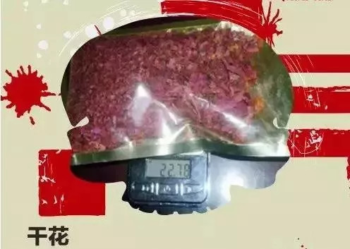 吸食后能迅速产生幻觉,毒性是常见毒品大麻的4到5倍开心果主要成分是