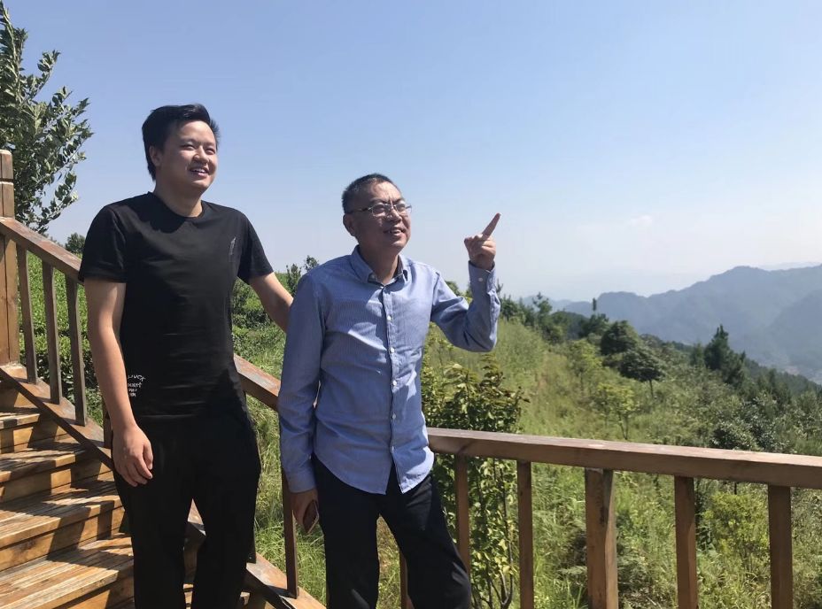 云放梵净山茶园基地周总和梵锦茶业姜总团队周总同芬利茶业中华区总裁