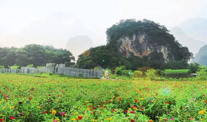 挑戰玻璃棧道,探索七彩溶洞,旅行團建就選九龍小鎮!_英德市