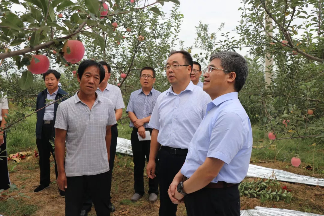 主任陈东楷,县委常委,政法委书记李桂萍,县公安局局长曹国刚随同调研