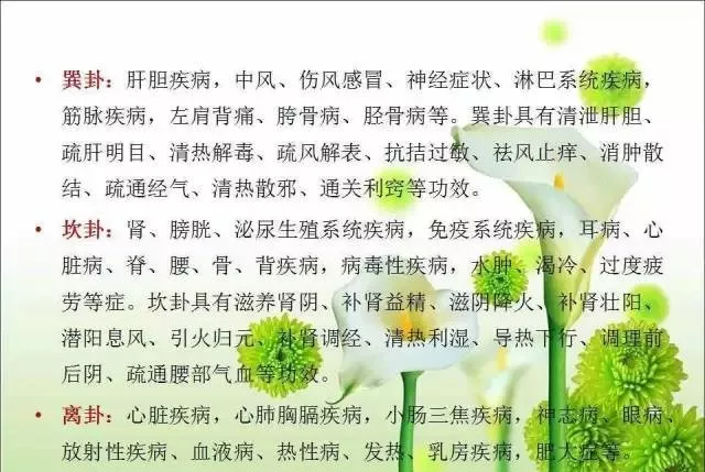 八卦臍針療法完整版你還沒有學習吧