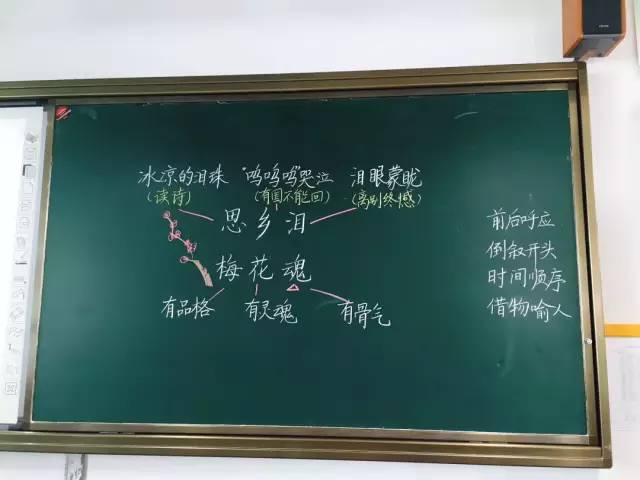 特级教师杨丽佳精美板书日常赶紧收藏哦