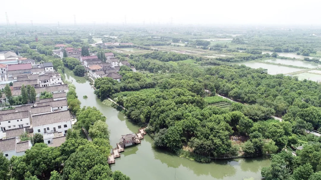 練市鎮荃步村雙林鎮七星橋村菱湖鎮楊家巷村和孚鎮荻港村善璉鎮平樂村