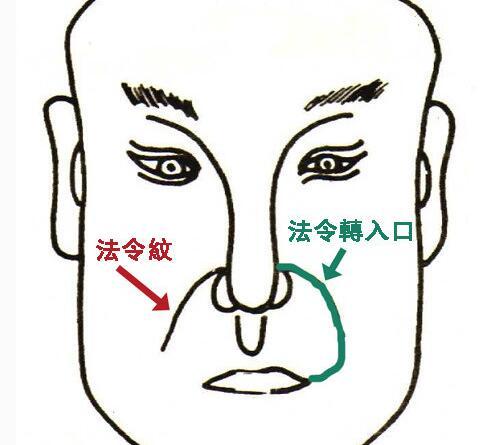 腾蛇纹入口面相图图片