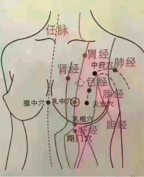乳房与经络的关系左右两侧乳房内的淋巴管亦互相连通和腹部等处的淋巴