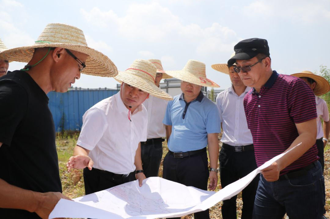 田阳县县长黄国哲等领导深入田州古城建设工地调研并就加快推进后期