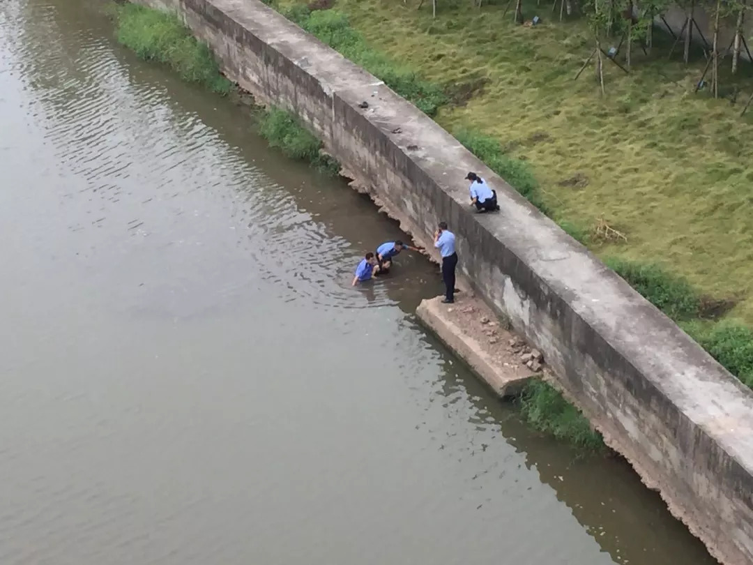 自貢一女子欲跳河輕生,被警察救起.