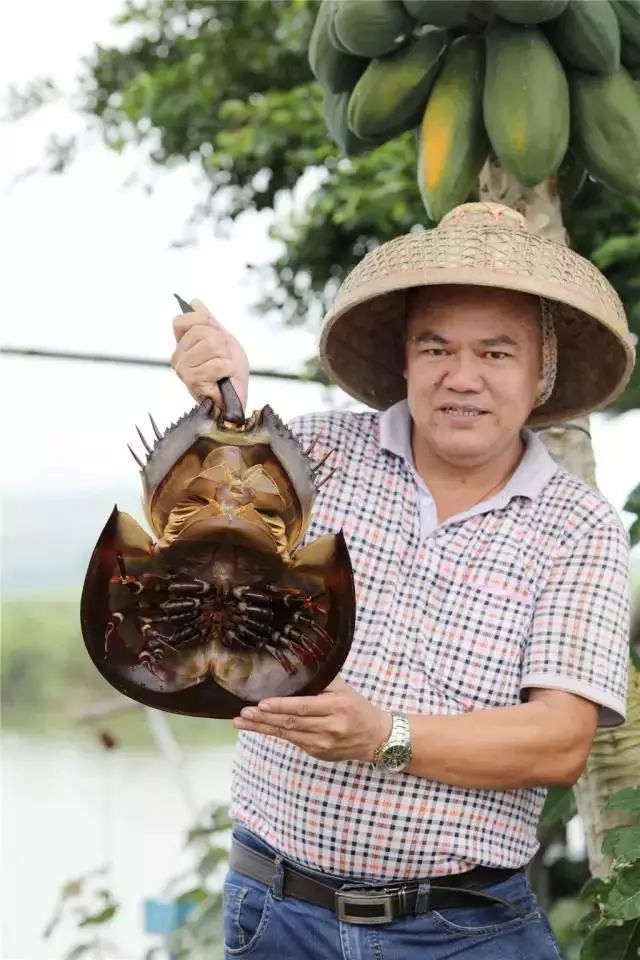 一个粤西小县城,竟然藏着圣托里尼的浪漫,济州岛的清新和全世界的美食