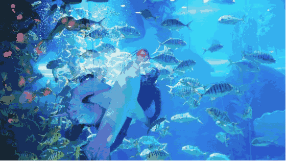 青岛海底世界的经典表演,人与鲨鱼和谐相处,在海底自在游弋的画面着实