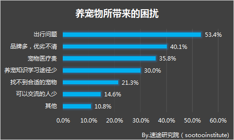 流浪猫狗现状调查报告图片