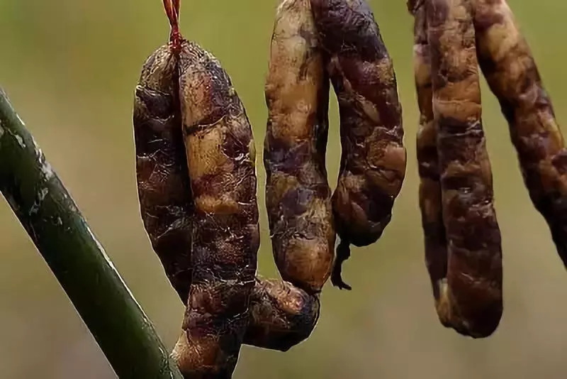 近现代名人:铁瑛,铁竹伟,郭献瑞,韩克华,常颂,白潜,端木梦锡,张国梁