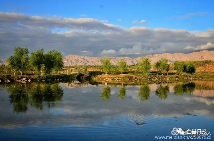 初秋游园正当时,玫瑰谷中赏美景_金昌