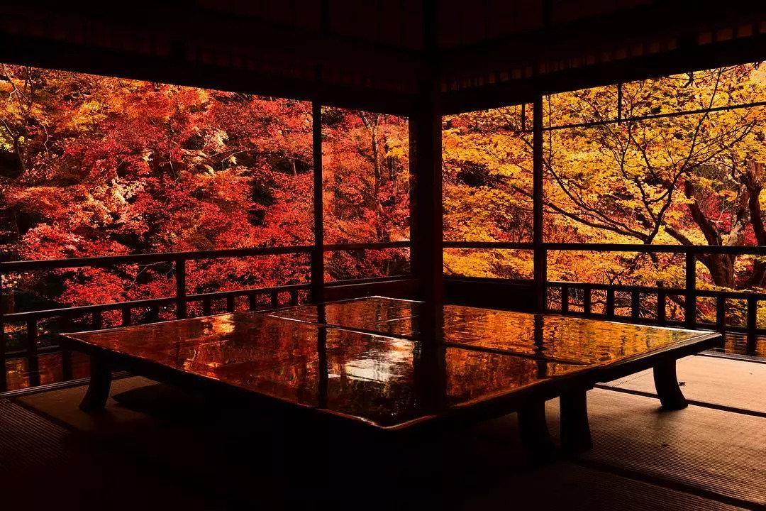日本一年只开放两次的琉璃光院!秋季参拜时间公开!准备好了吗