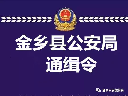 金鄉掃黑除惡通緝令看到這8人立即報警