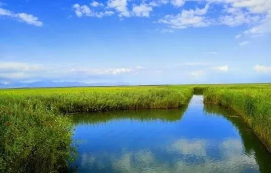 雨过天晴,云海频现,亭台楼阁,芦苇荡,湖水,湖心山等景物在云海的笼罩