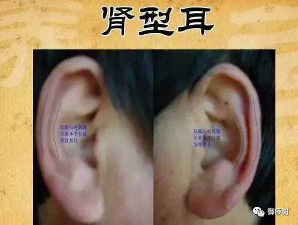 耳诊11法,通过耳朵看五脏六腑的疾病