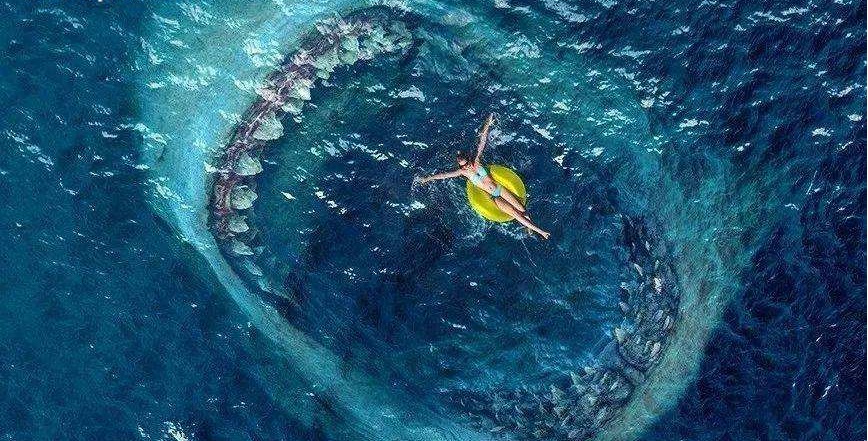 深海恐惧症最恐怖图片图片