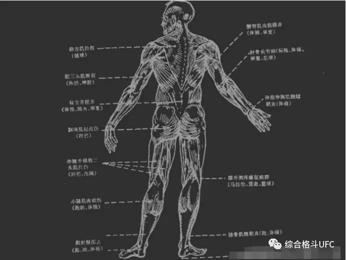 马伽术痛点分布图图片