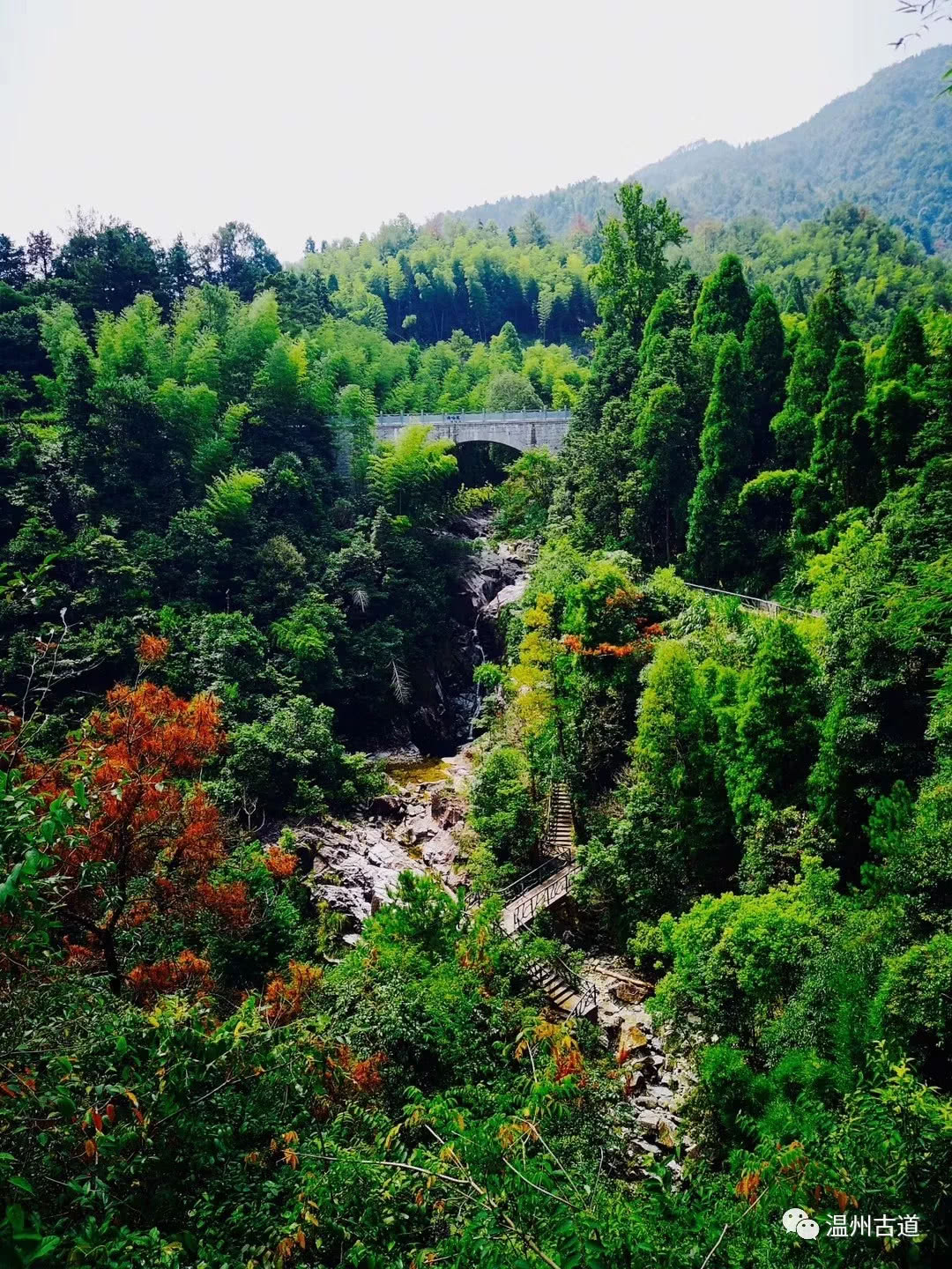 瑞安湖嶺均路行