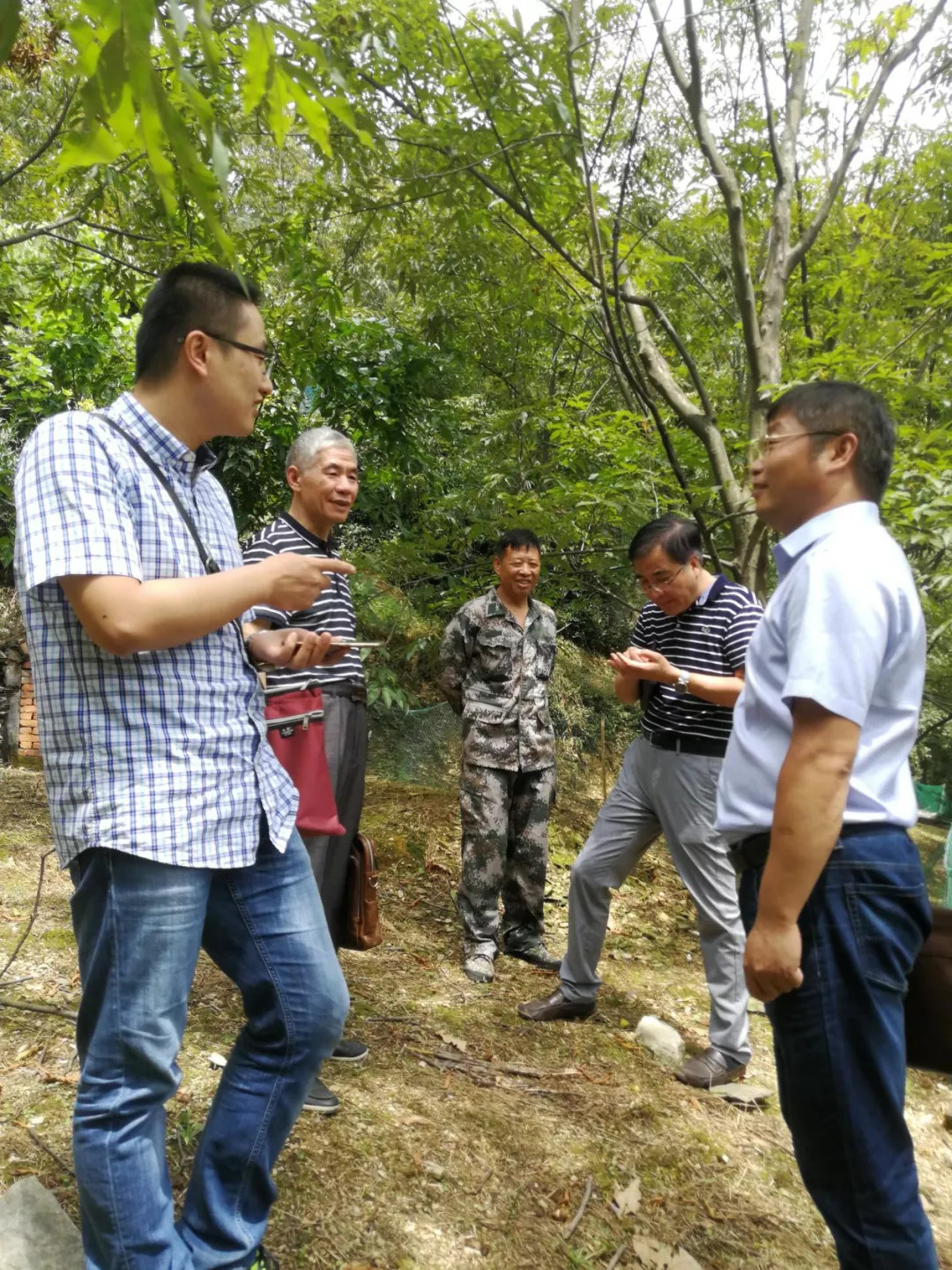 村山核桃生产基地,杭州临安裕康食品厂加工车间,对生产基地,产地环境