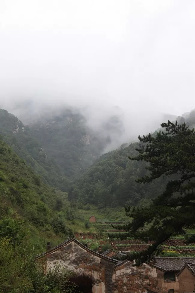 林海松涛图片