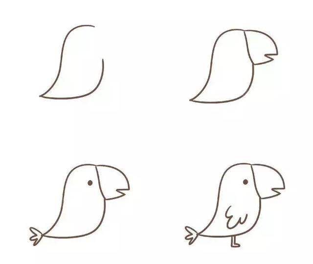 鸟的简笔画顺序图片