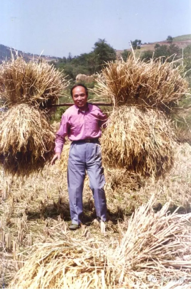 用冲担,两头分别插到捆好的草头里.