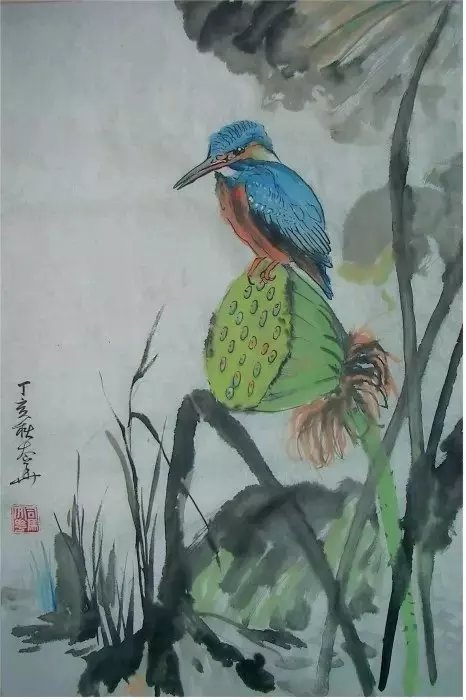 100副花鳥翠鳥的畫法太全了