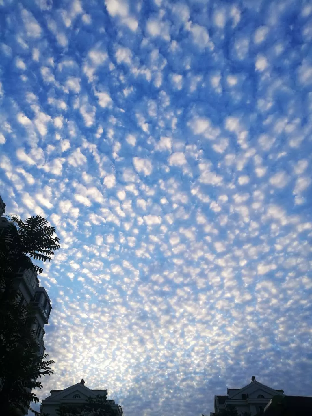 印象中的藍天白雲是這個樣子_攝影