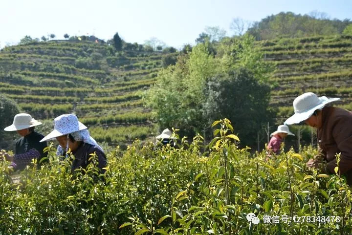 天台山头下村图片