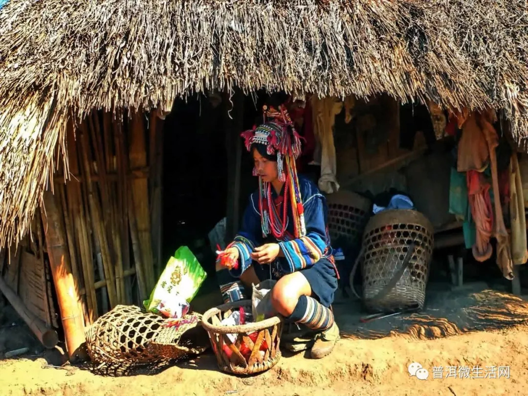 阿卡族妇女非常勤劳,上山刀耕火种和砍柴做饭都是他们的常活