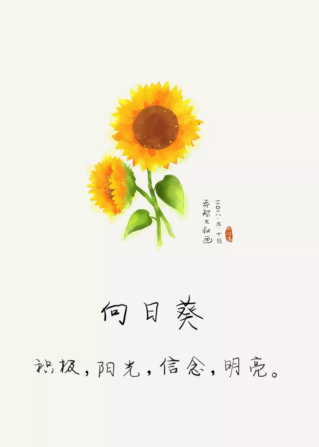 带文字的向日葵花语图片