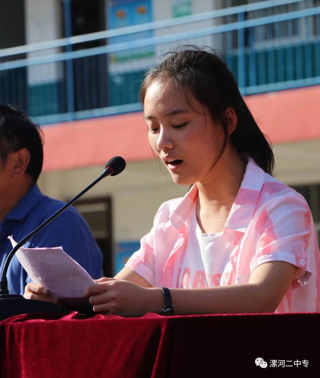 郾城实验中学校花图片