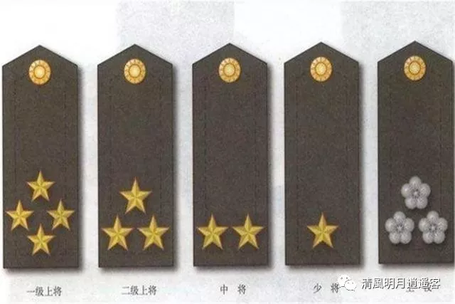 国民党高级将领军衔图片
