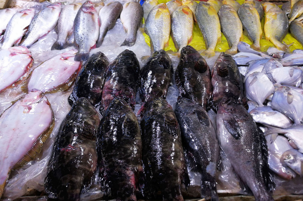 开渔10天 青岛海鲜市场堆满各色海鲜 本地新鲜带鱼35元一斤