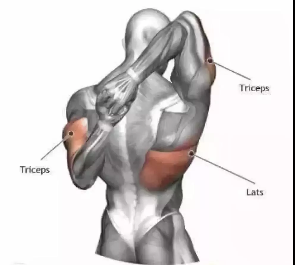 背阔肌主动拉伸图解图片