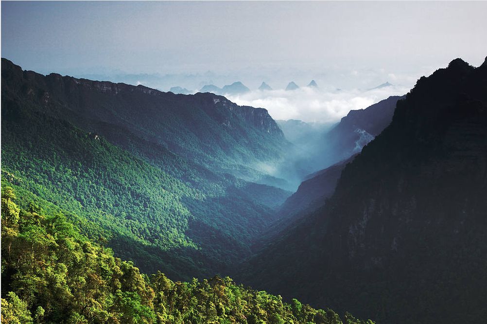 大明山位於廣西中南部,橫跨上林,馬山,賓陽,武鳴四縣,整個山脈南北