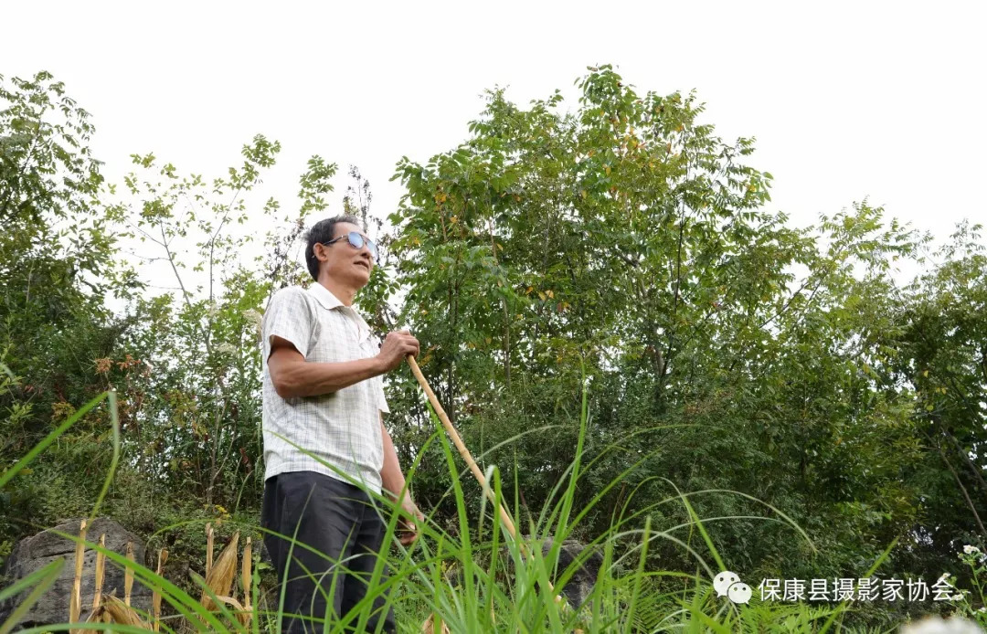 盲人农民郭大荣 自强不息自助脱贫