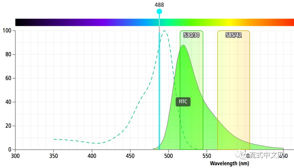 每种荧光素有其最大发射波长,就是说它在那个波长的光子数量是最多的
