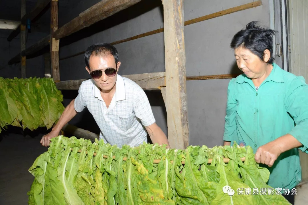 盲人农民郭大荣 自强不息自助脱贫