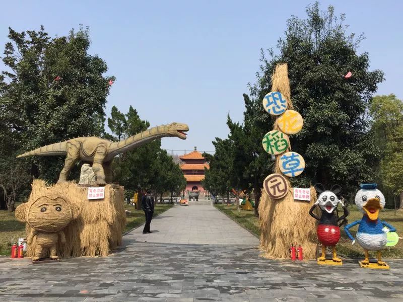 恐龍來啦武功姜嫄水鄉大型恐龍稻草人主題公園開業啦免費門票無限送