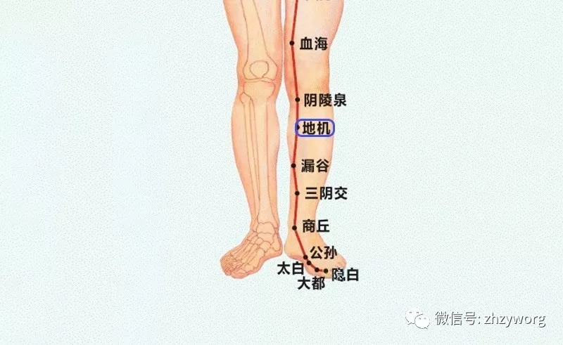 腿部胰腺点位置图片图片