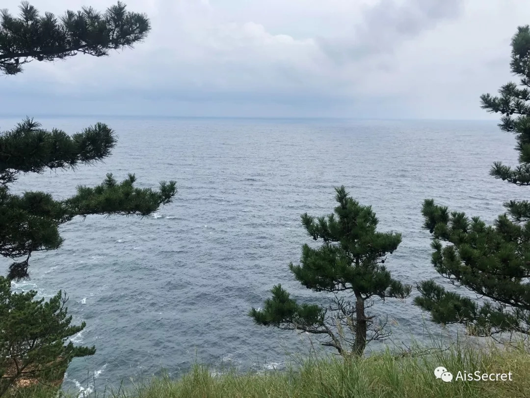 悬崖&礁石,山海&树木,生命太值得.