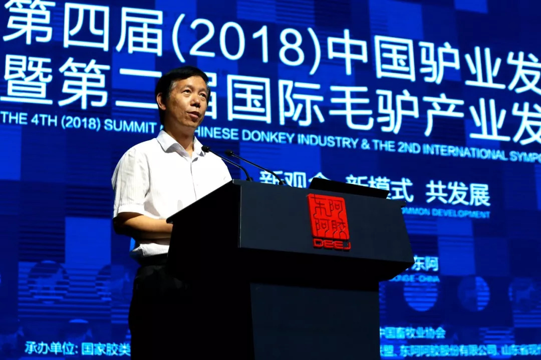 东阿县人民政府县长马广朋