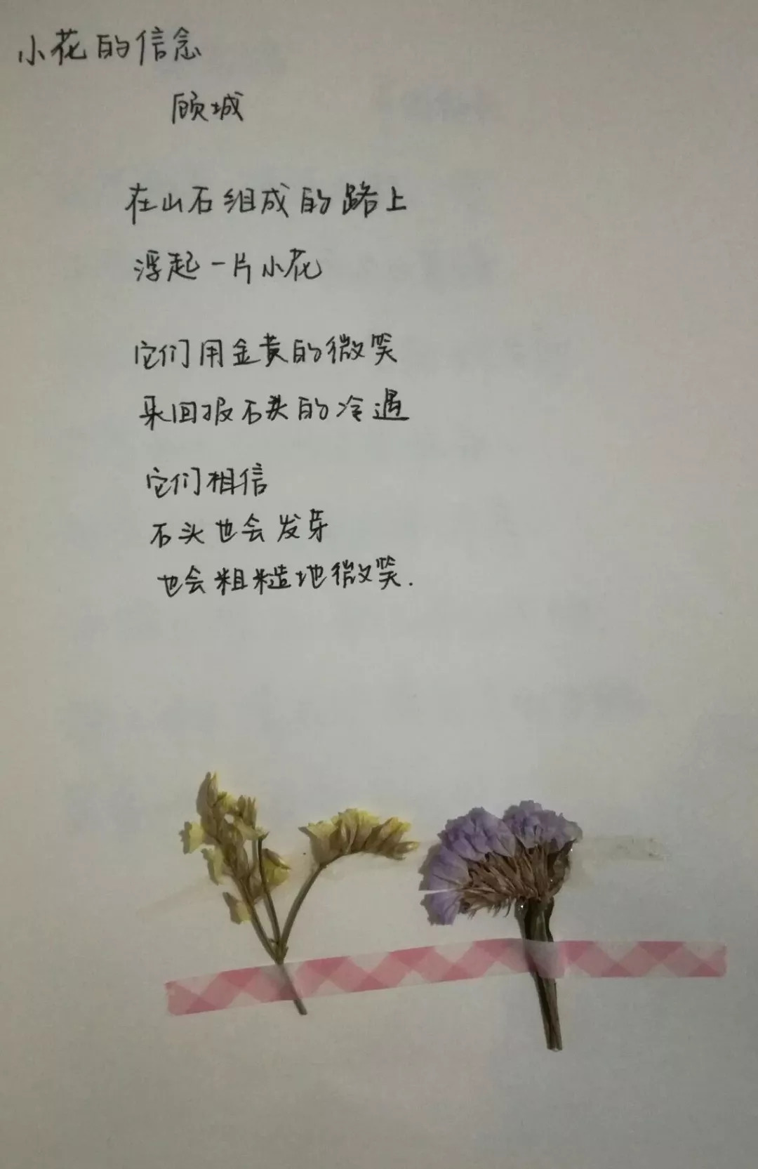 周春梅的學生製作的手抄詩集之 《小花的信念》